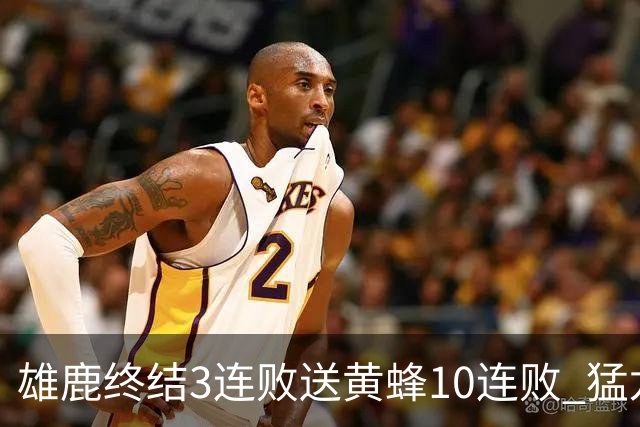雄鹿终结3连败送黄蜂10连败 猛龙送火箭3连败